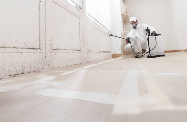 24/7 Emergency Basement Mold Removal experts in Orbisonia, PA